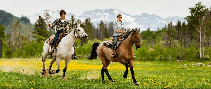 Confident plus-size woman riding Worksop a horse through a field with a smile on her face.